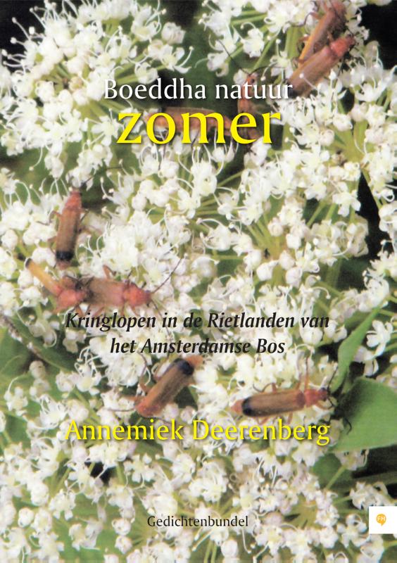 Boeddha natuur Zomer