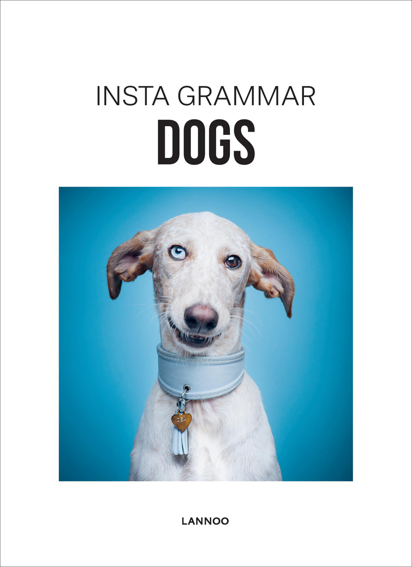 Irene Schampaert Dogs / Insta Grammar