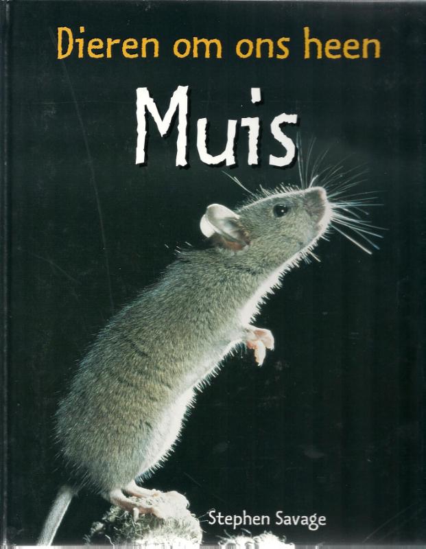 Muis / Dieren om ons heen