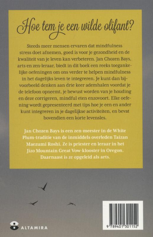 Hoe tem je een wilde olifant? achterkant