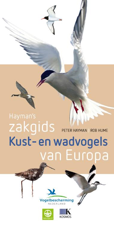 Hayman's Zakgids  -   Hayman's zakgids kust- en wadvogels