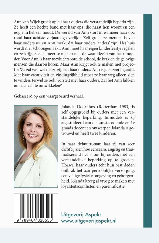 Beperkt volmaakt achterkant