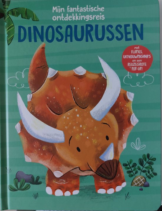 Mijn fantastische ontdekkingsreis