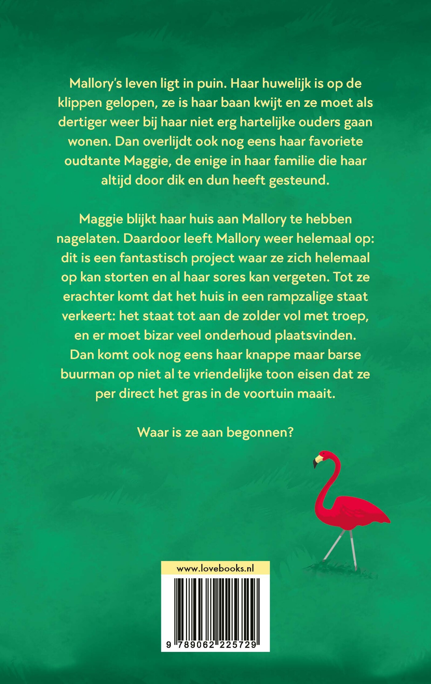 De erfenis achterkant