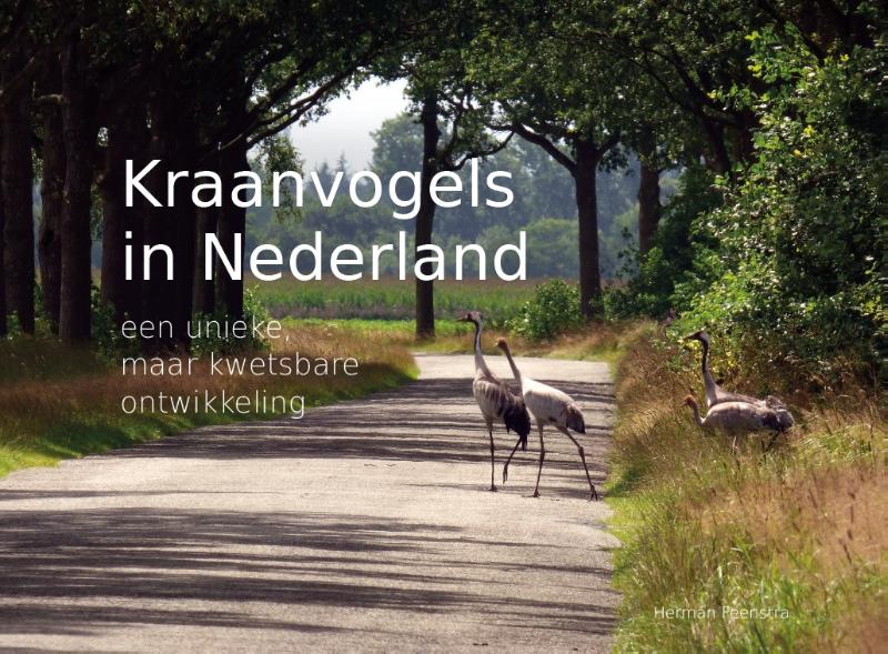 boekenbalie_9789023258872_cover Kraanvogels in Nederland