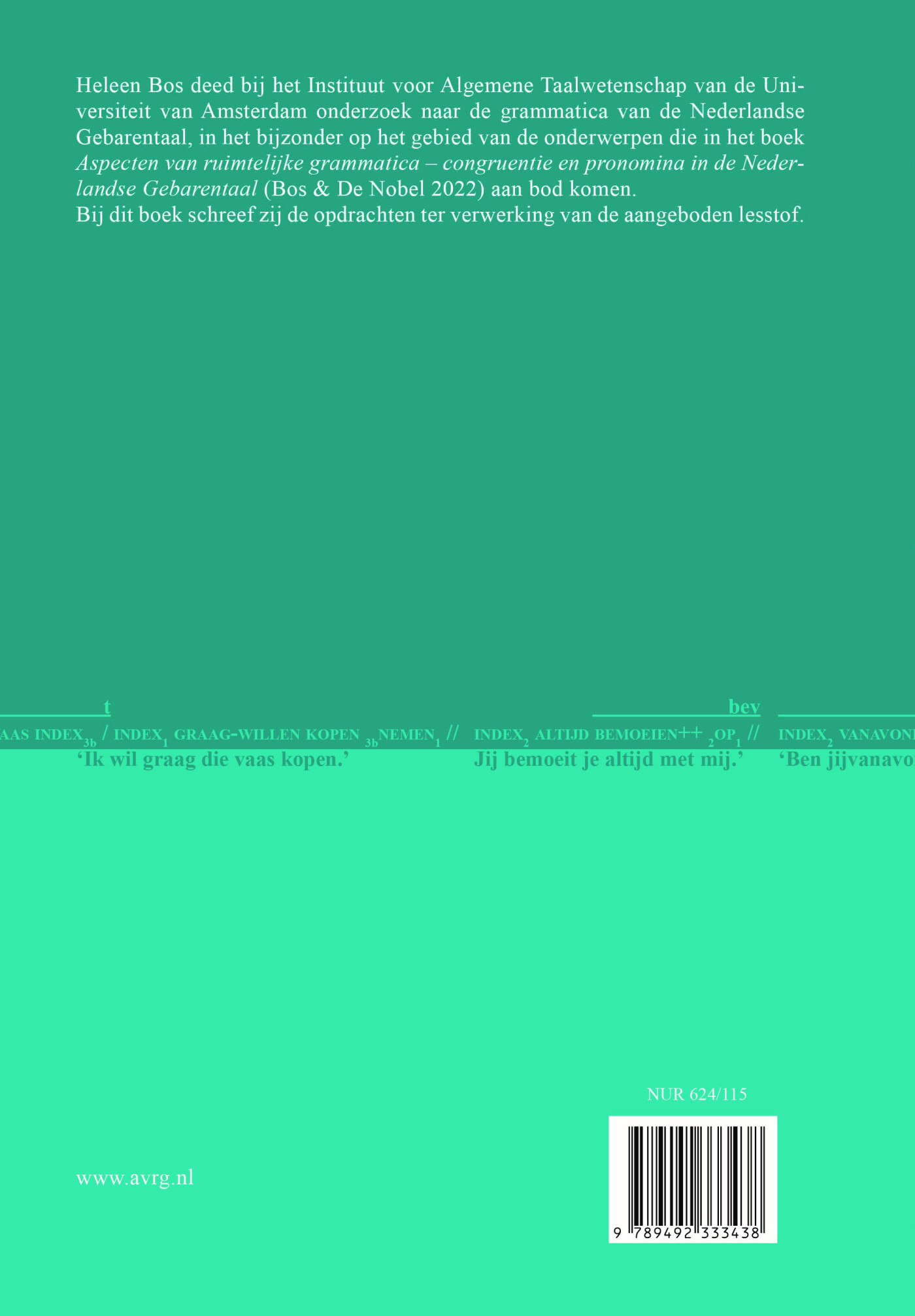 Aspecten van ruimtelijke grammatica achterkant