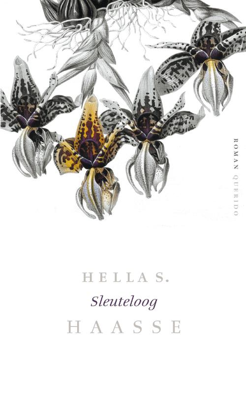 Hella S. Haasse Sleuteloog thumbnail