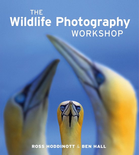 Hoddinott Wildlife Photography Workshop thumbnail