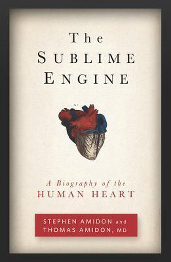The Sublime Engine