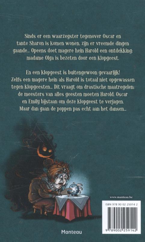 Meesters van alle geesten / Scarry Harry achterkant