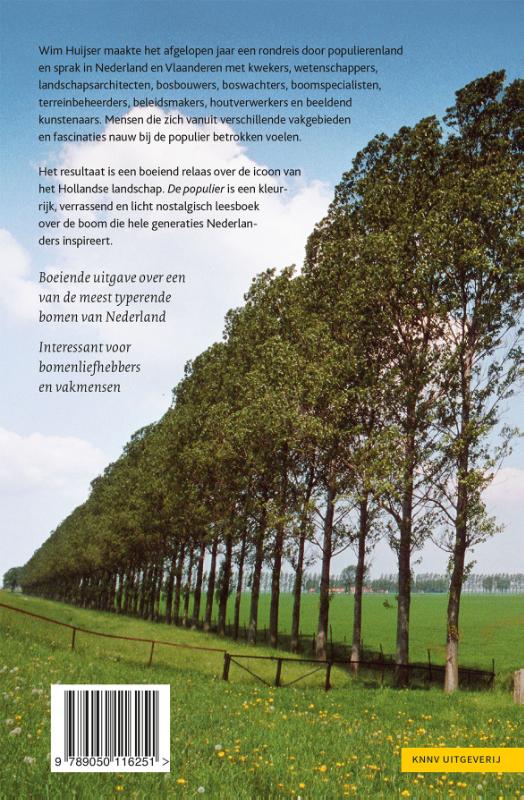 De populier achterkant