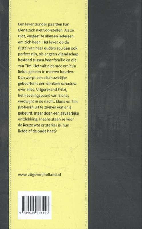 De beslissende zomer / Elena, een leven voor paarden / 2 achterkant