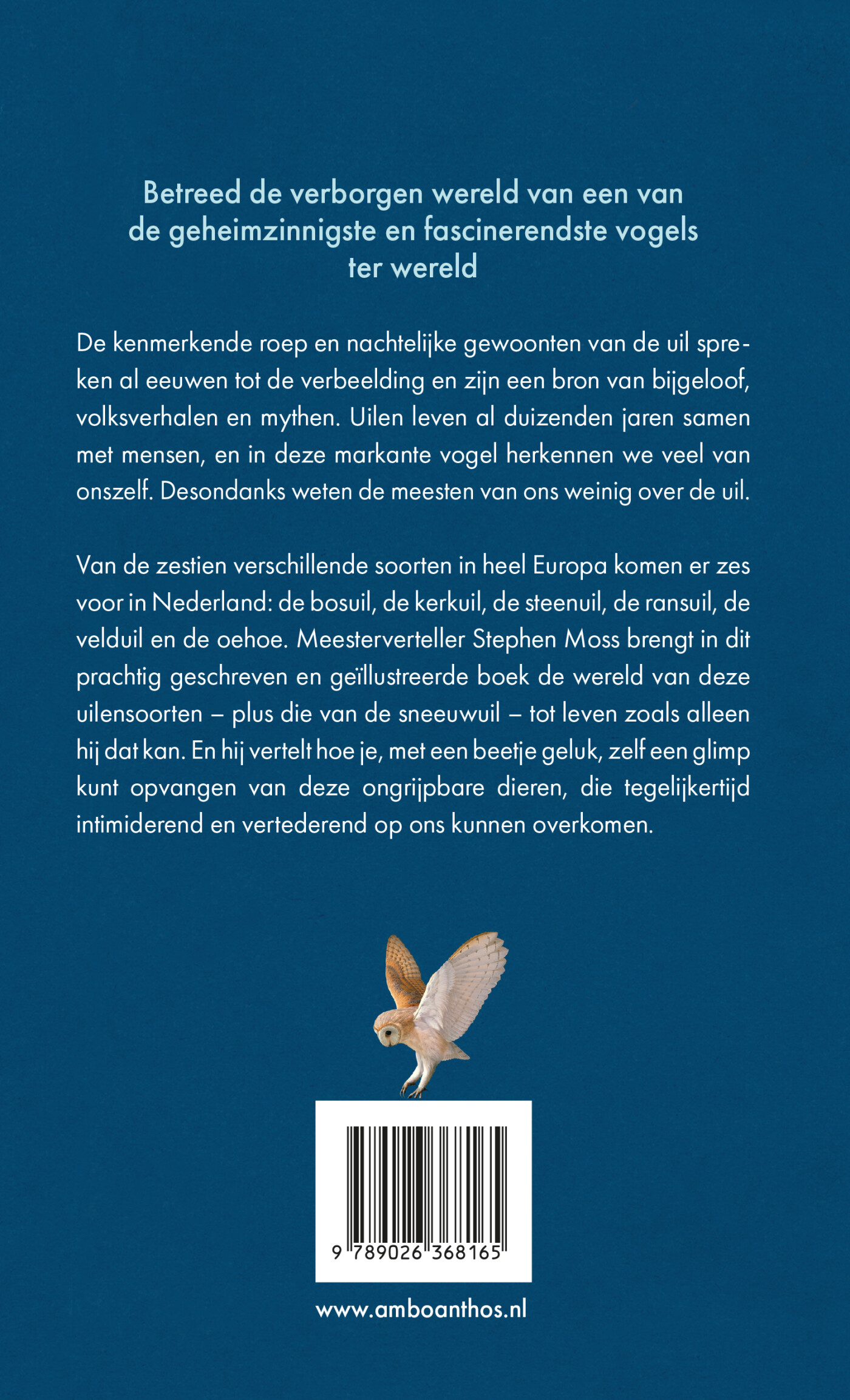 De uil achterkant