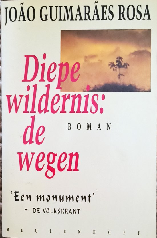 boekenbalie_9789029045735_cover DIEPE WILDERNIS: DE WEGEN (GK)
