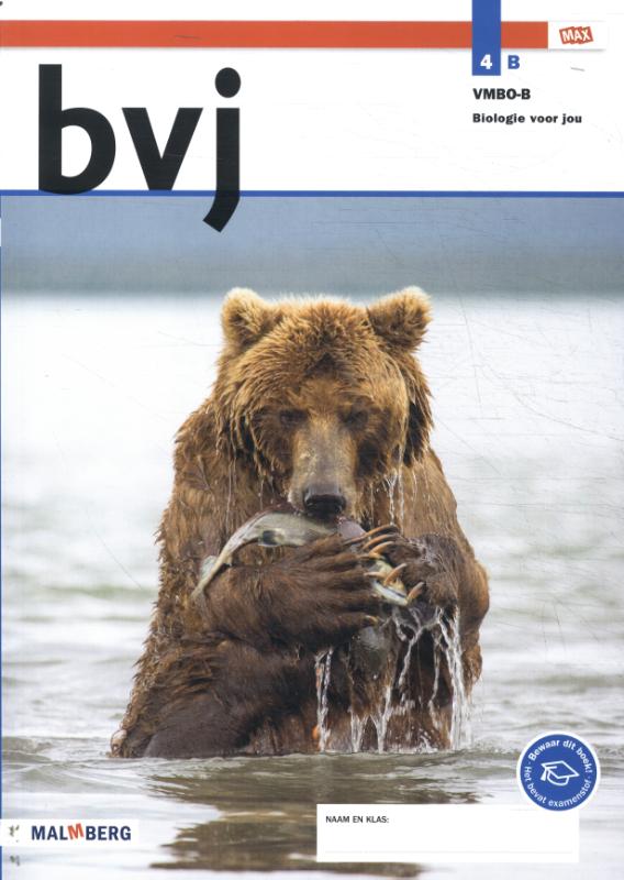bvj / 4 vmbo-B deel B