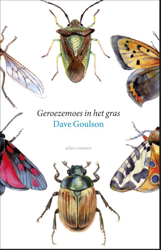 Dave Goulson Geroezemoes In Het Gras thumbnail