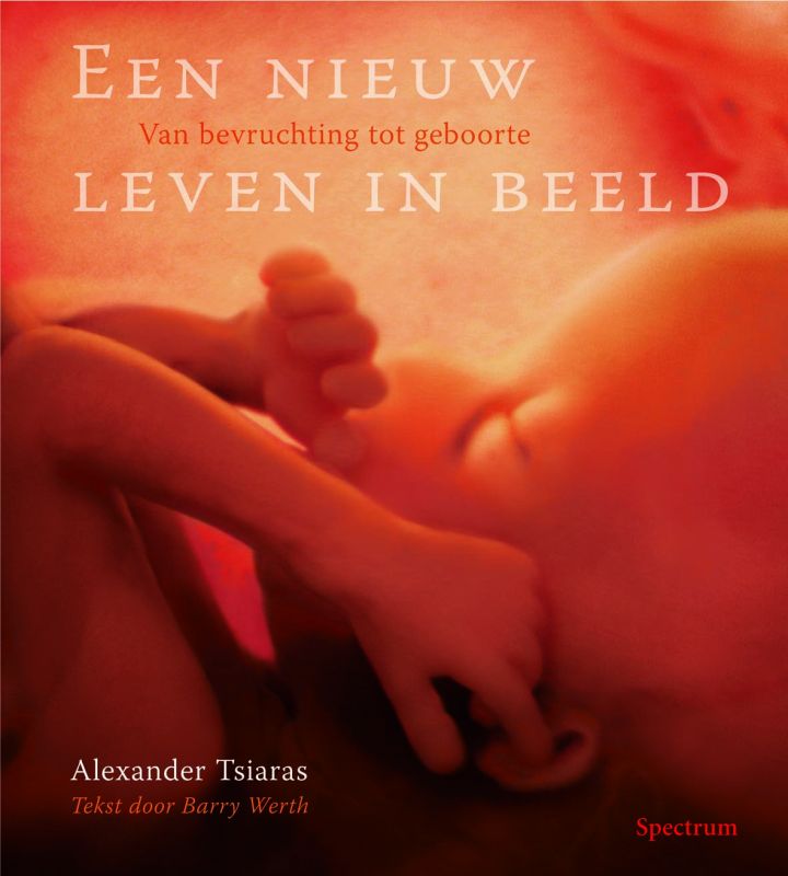 Een nieuw leven in beeld