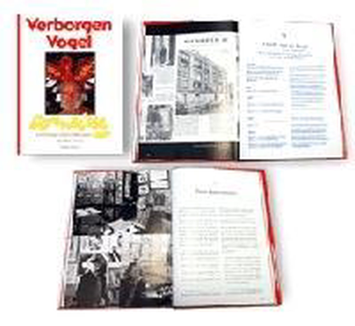 boekenbalie_9789068252972_cover Verborgen vogel