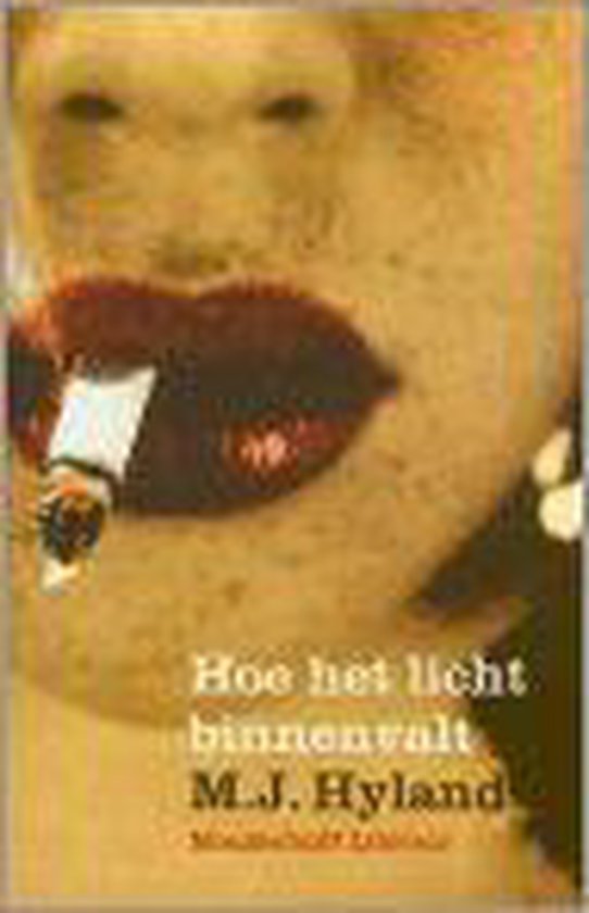 Hoe het licht binnenvalt / Meulenhoff editie / 2068