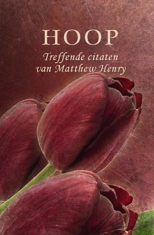Matthew Henry Hoop / Pareltje thumbnail