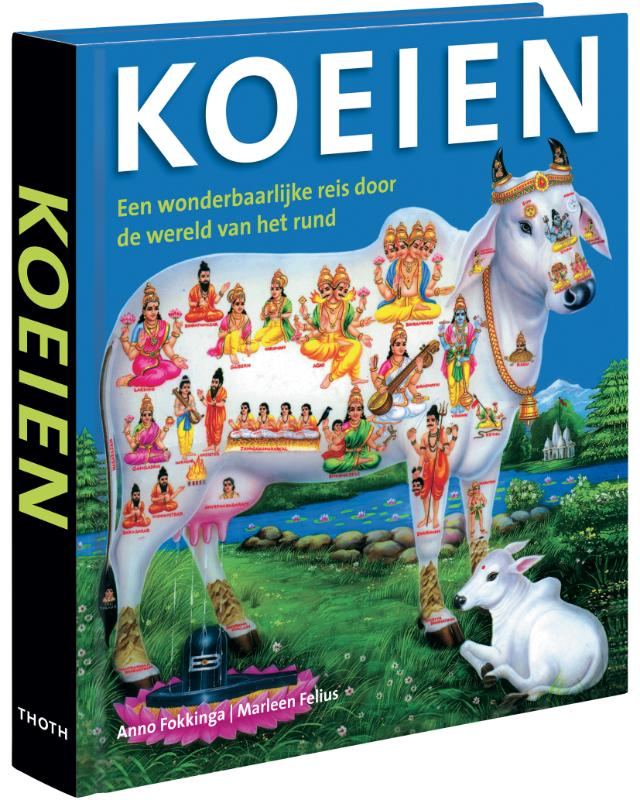 Anno Fokkinga Koeien thumbnail