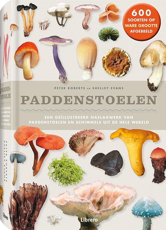 Paddenstoelen