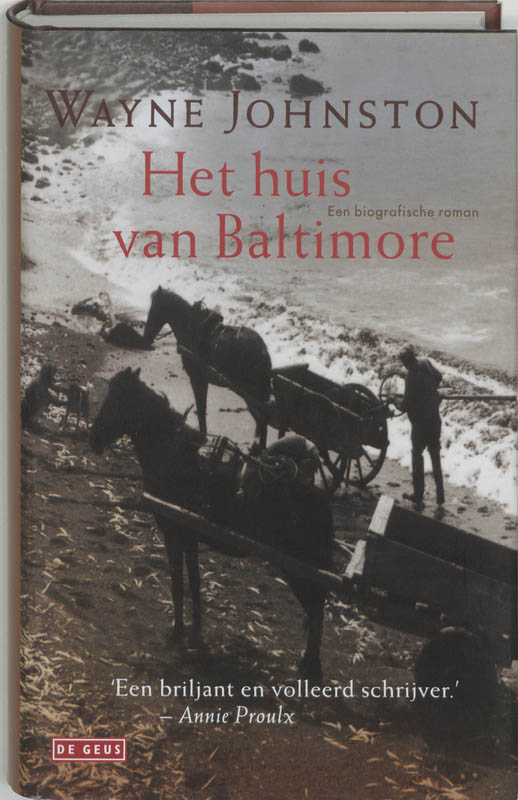 W. Johnston Het Huis Van Baltimore thumbnail