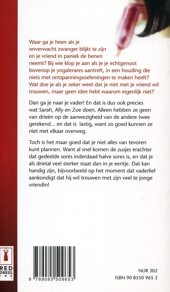 MIJN ZUSJES EN IK achterkant