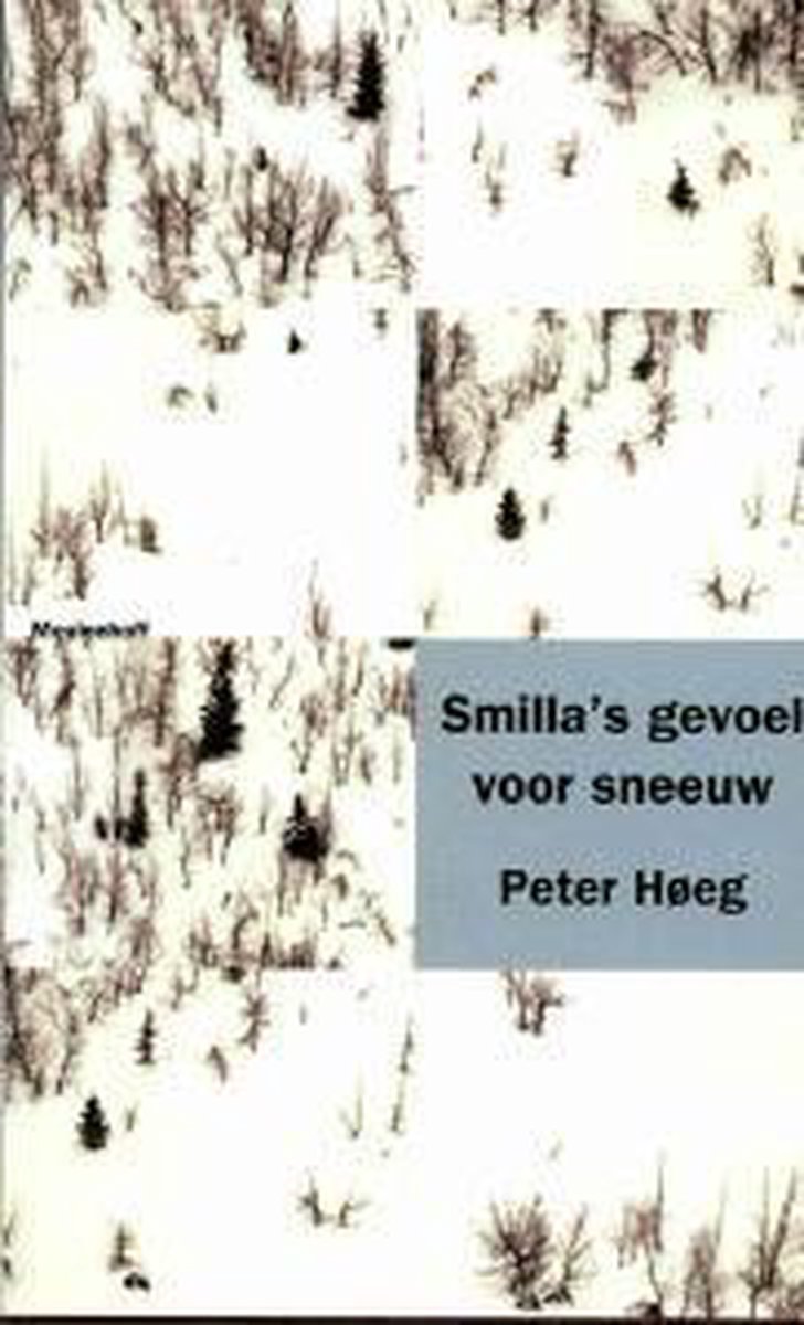 Smilla's gevoel voor sneeuw