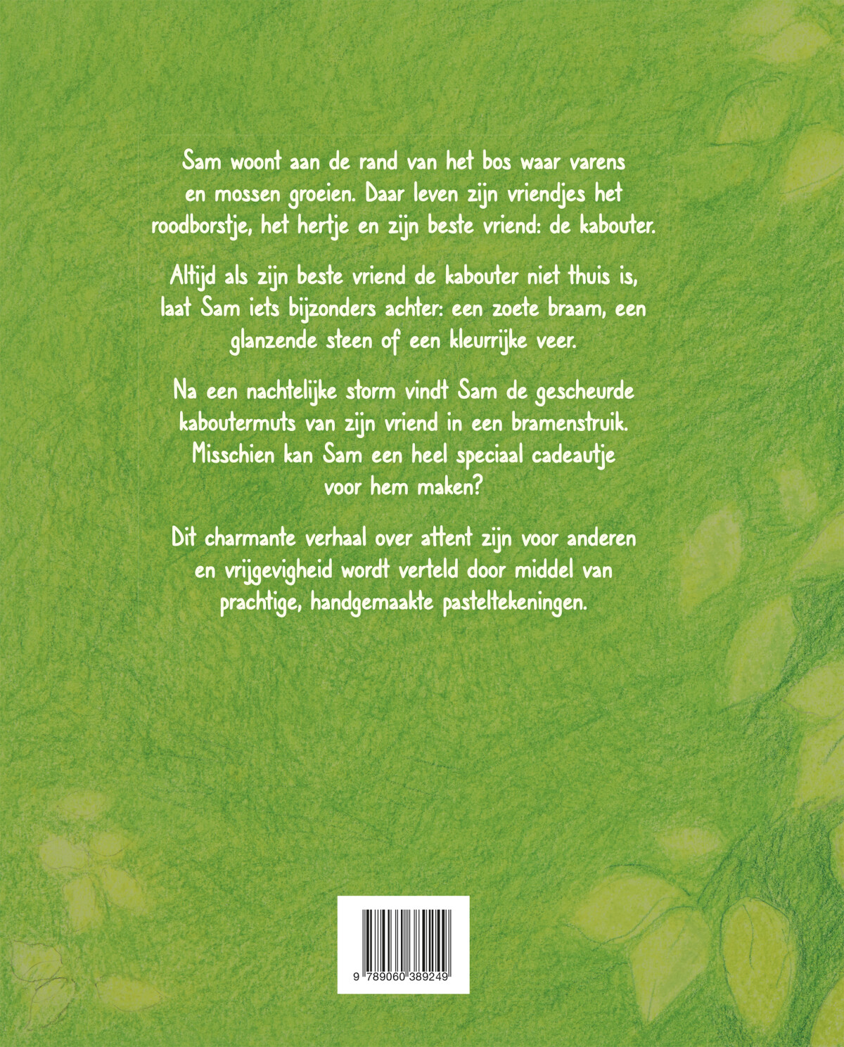 Sam en de rode kaboutermuts achterkant