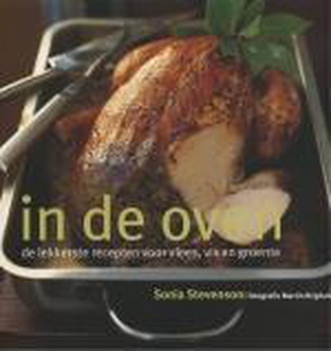 boekenbalie_9789058972057_cover In de oven