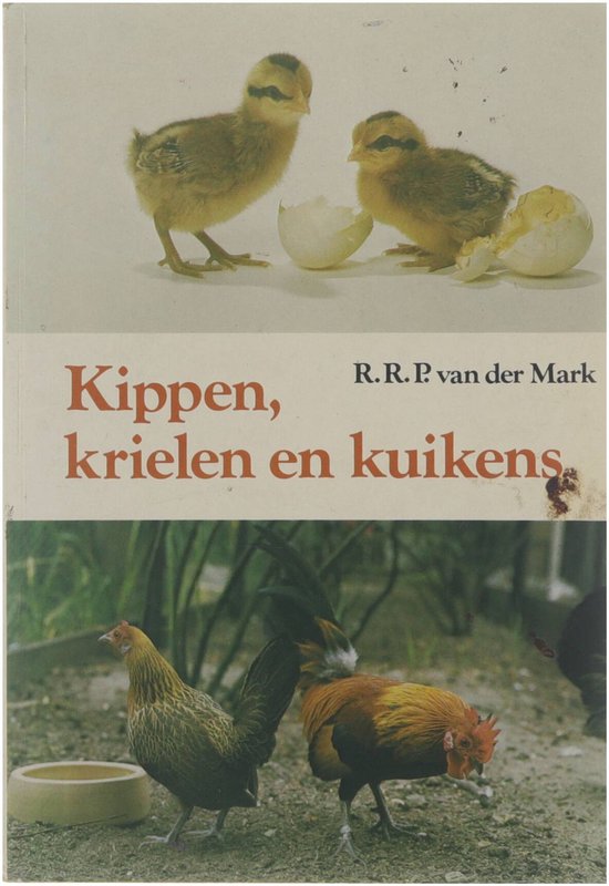 Kippen, krielen en kuikens