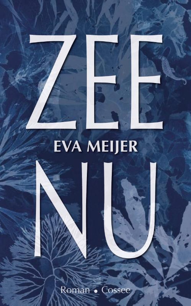 Zee nu