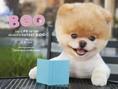 BOO the Dog (last copies)