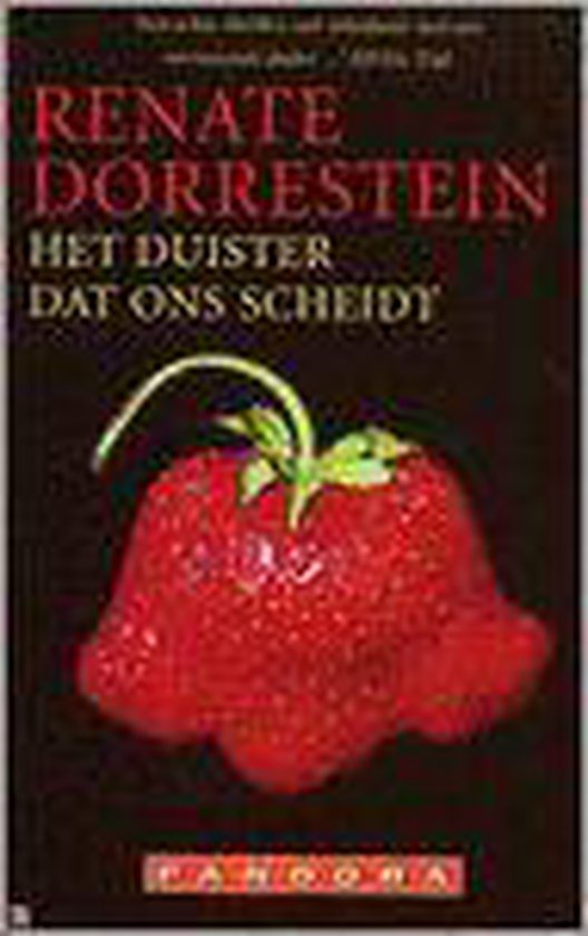 Het duister dat ons scheidt / Pandora pockets