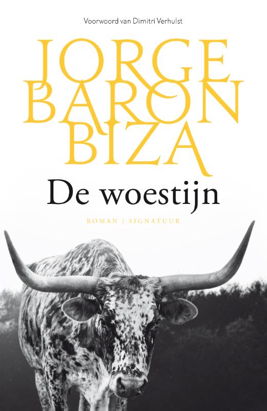 De woestijn