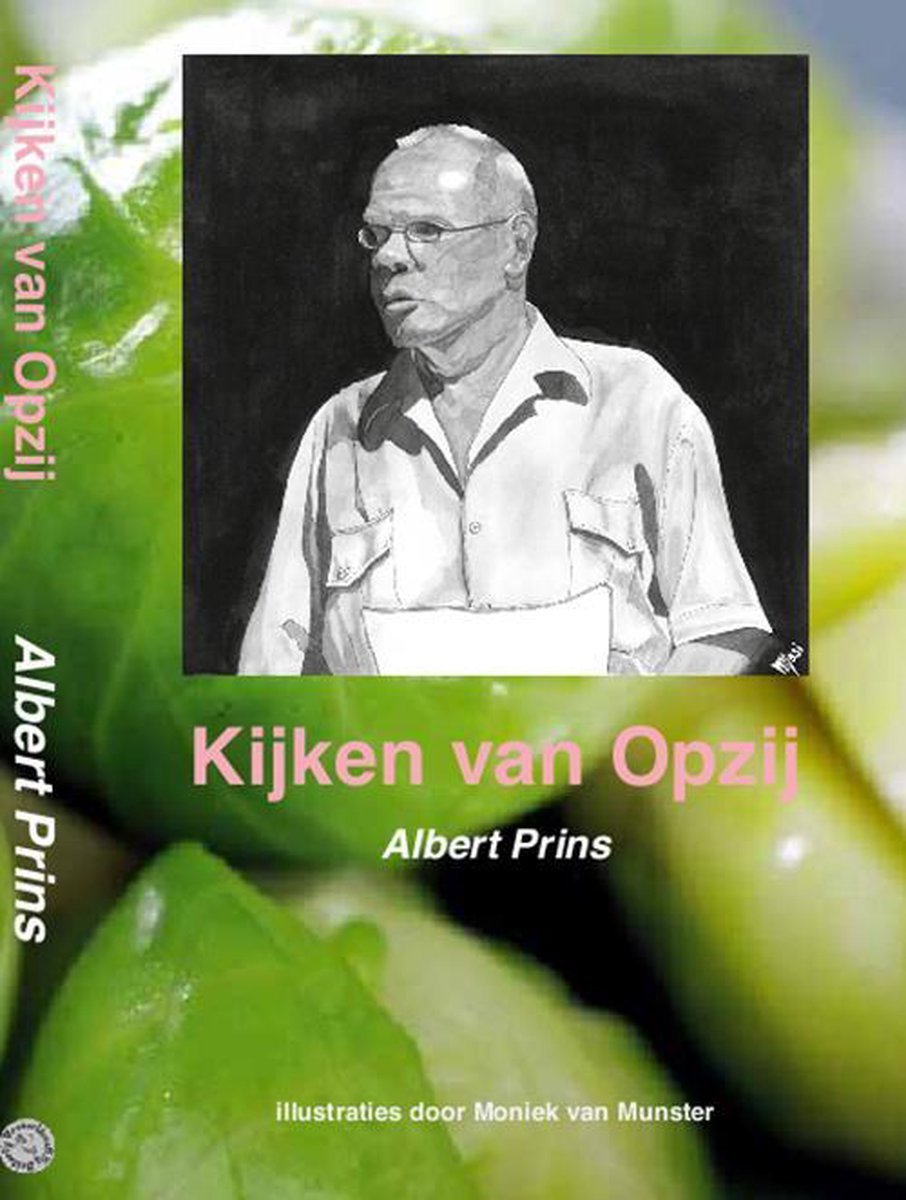 Kijken van Opzij