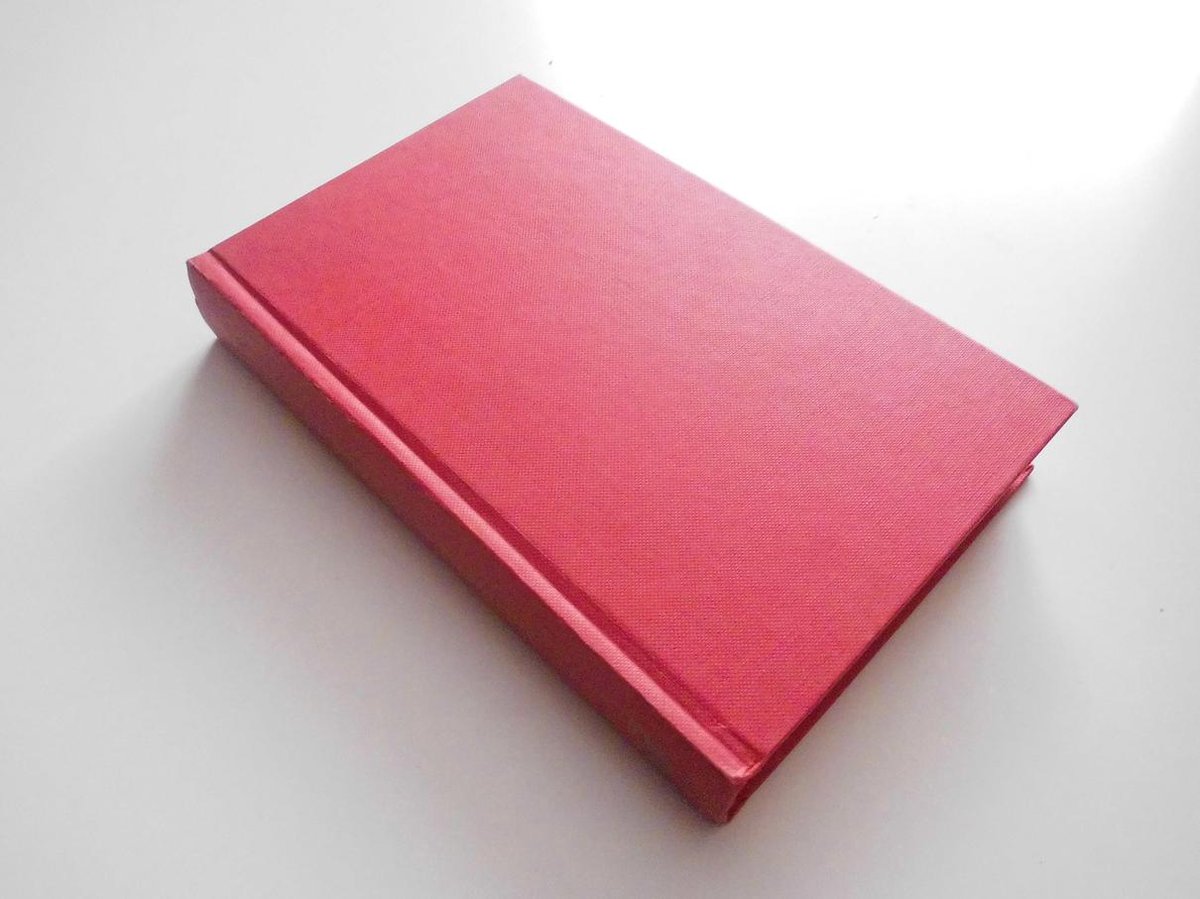 boekenbalie_9789060843031_cover Natuurgeneeswijzen in de praktijk