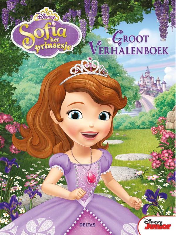 Groot verhalenboek / Disney junior