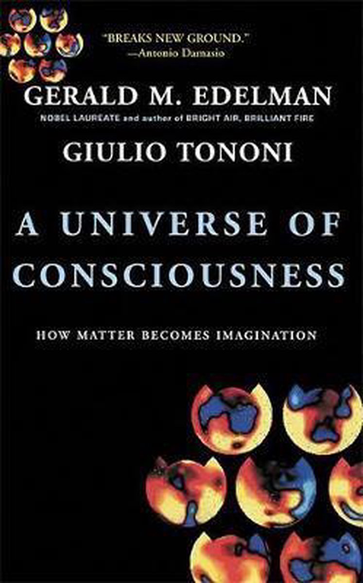 A Universe of Consciousness