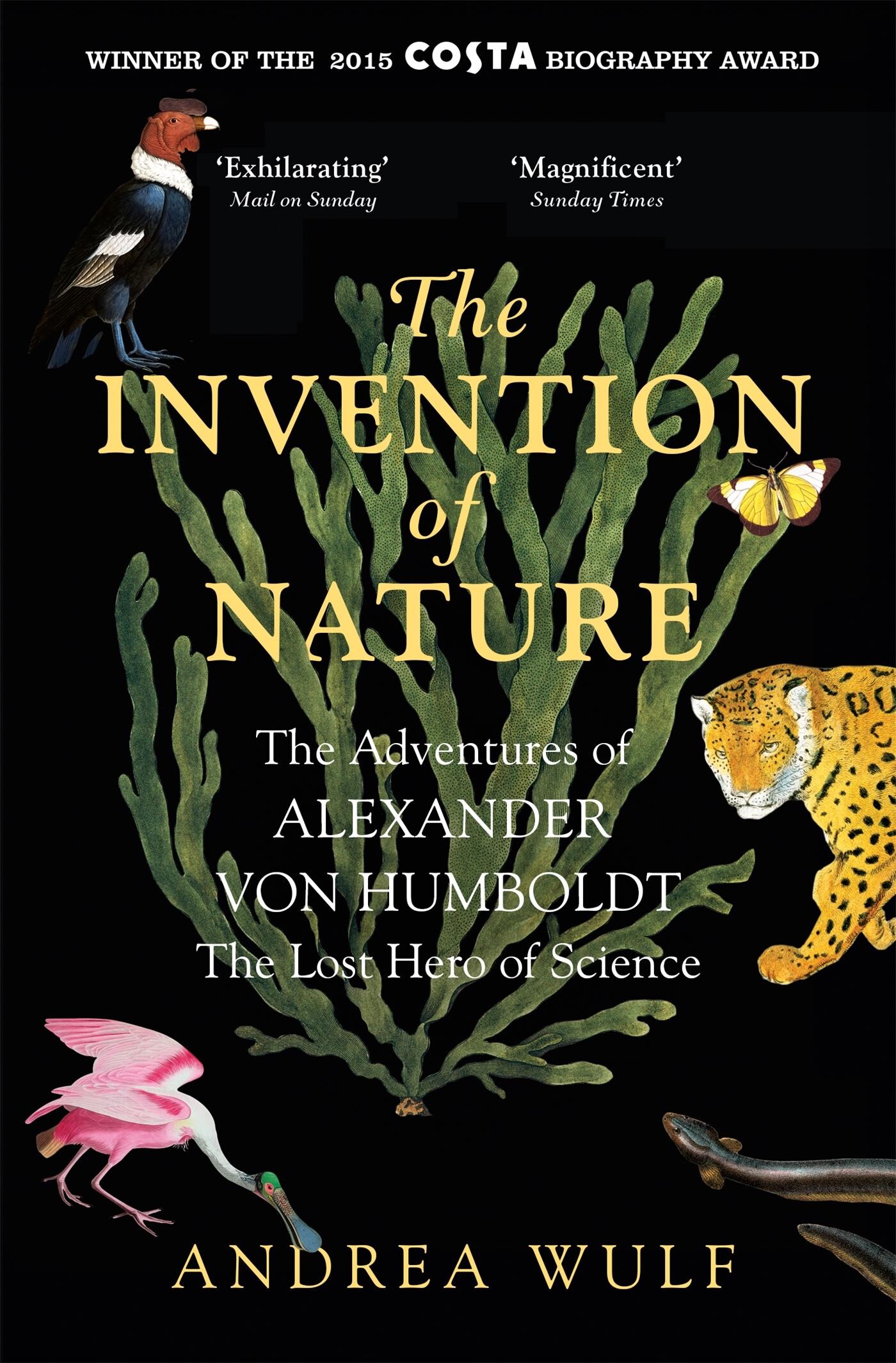 boekenbalie_9781848549005_cover The invention of nature