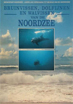 Bruinvissen, dolfijnen en walvissen van de Noordzee