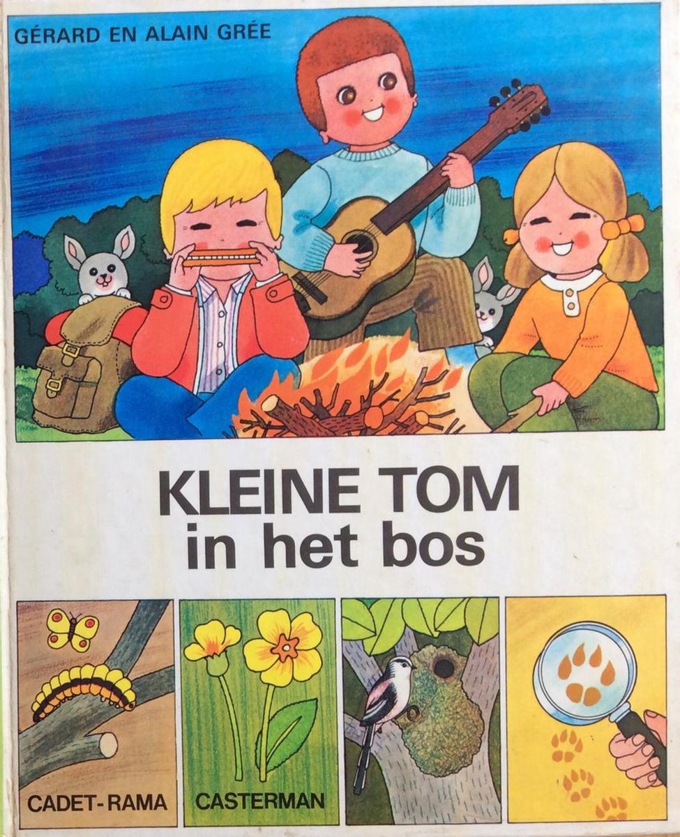 Kleine tom in het bos