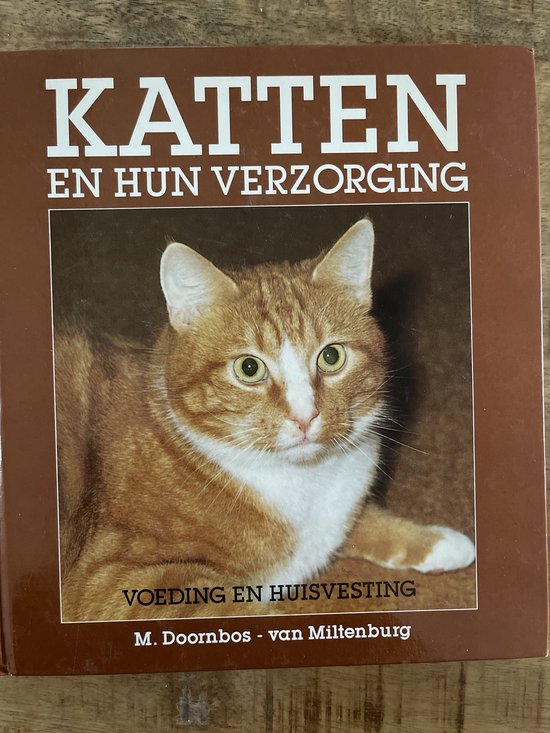 Katten en hun verzorging