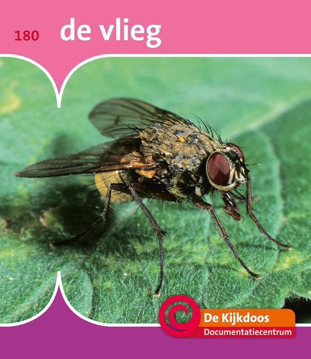 De Kijkdoos 180 -   De vlieg