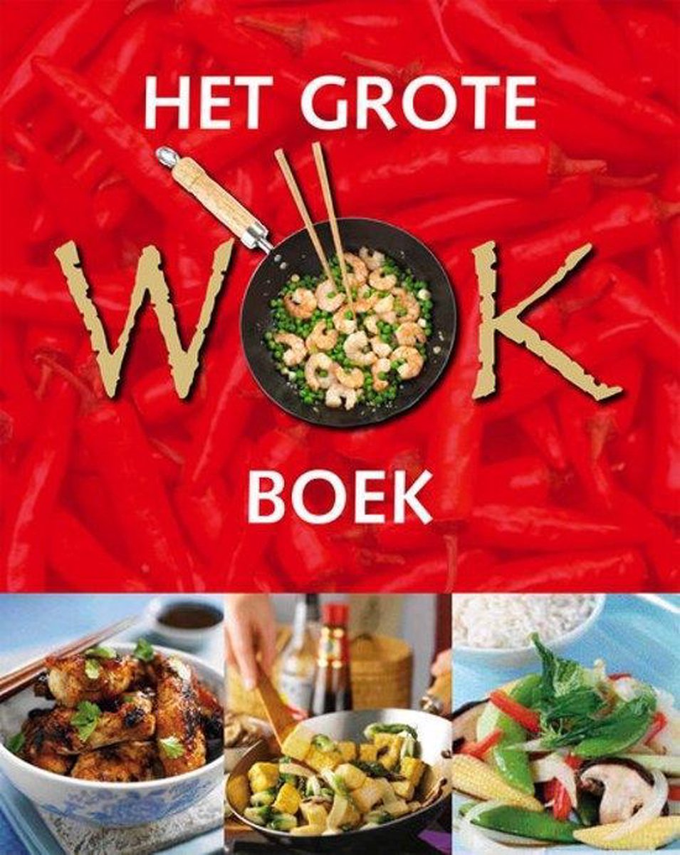 Het Grote Wok Boek