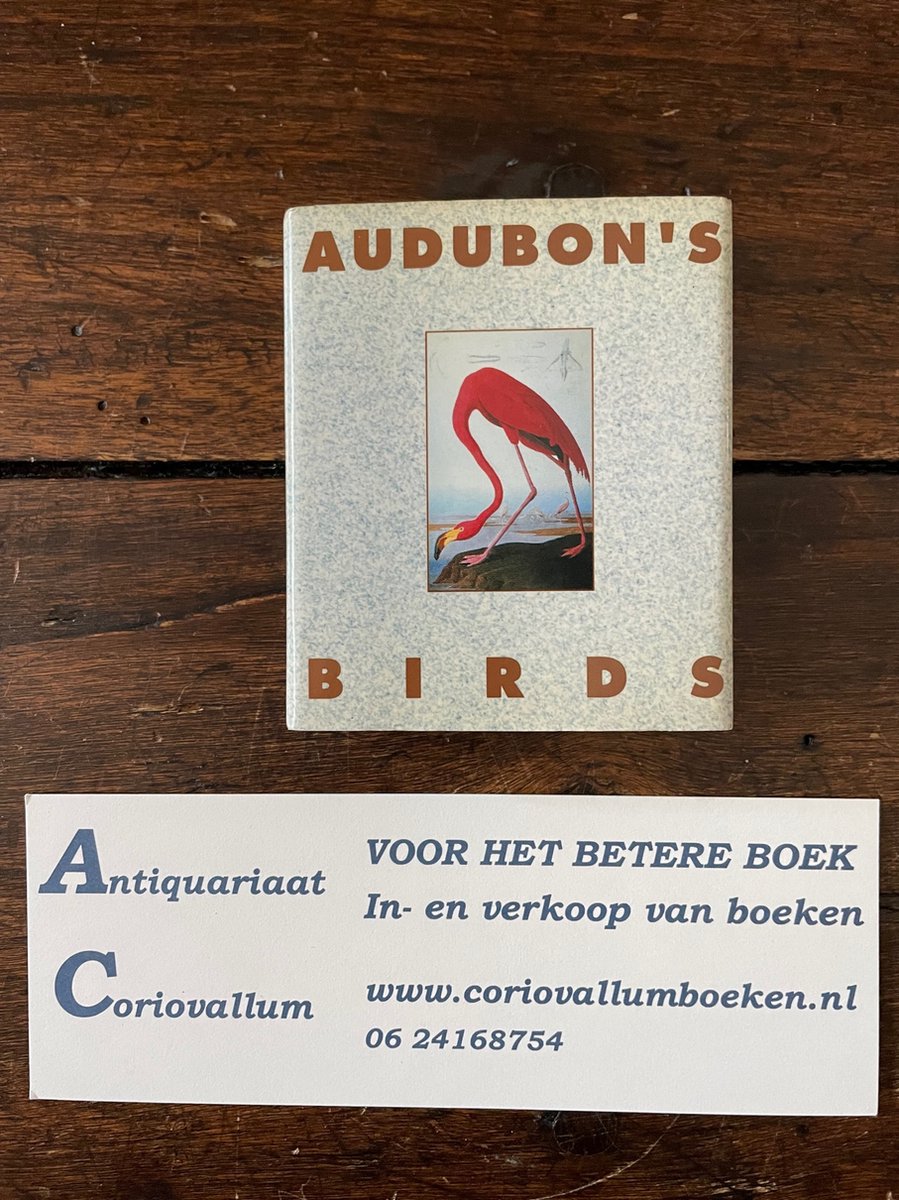 Audubon's Birds