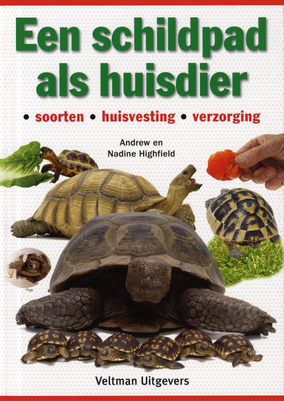 Een schildpad als huisdier