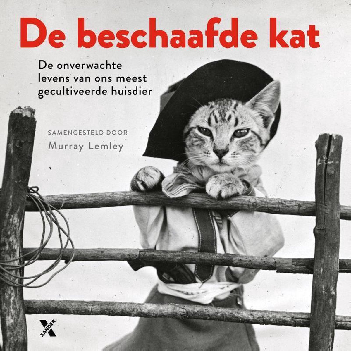 Murray Lemley De Beschaafde Kat thumbnail