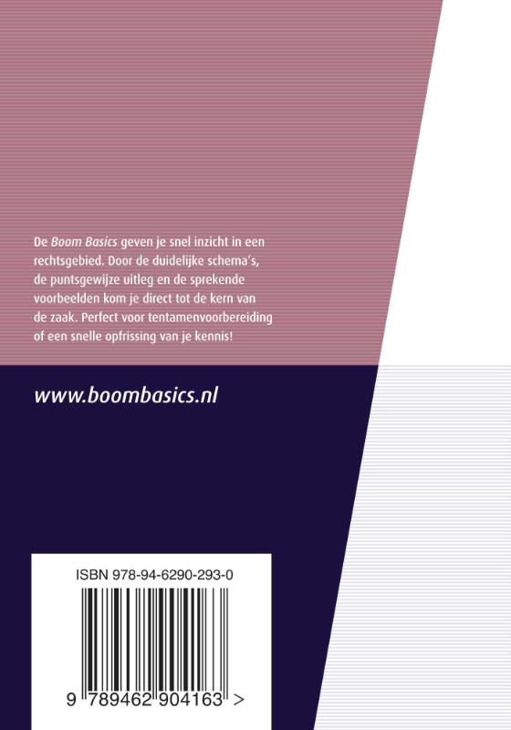 Boom basics aanbestedingsrecht / Boom Basics achterkant